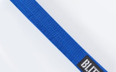 6th Kyu to 5th Kyu – Green belt to Blue belt