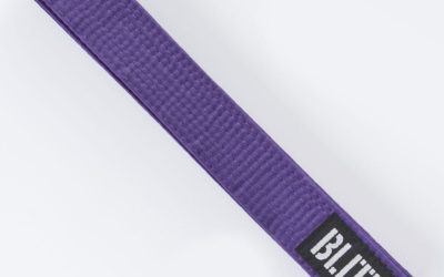 5th Kyu to 4th Kyu – Blue belt to Purple Belt